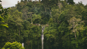 Hidden Sekumpul Waterfalls Bali