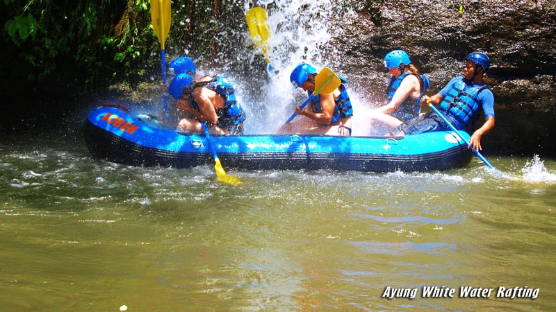 Ayung River waterfalls tropical gorge Ubud