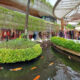 Elegant shopping boutiques along a serene koi pond in Kuta, Bali, with lush greenery and open-air ambiance.