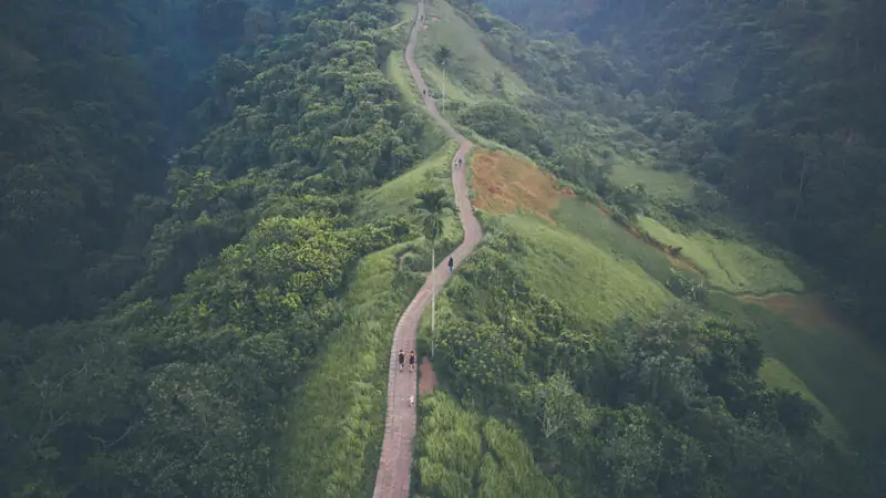 The trekking route on Campuhan Hill, Ubud, is one of the 5 popular tourist attractions in Ubud