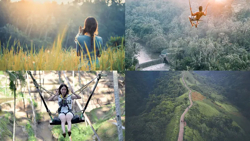 Visitors enjoy the natural views of Ubud, Bali; swinging on the Bali Swing; trekking on Campuhan Hill; and take photos in the Tegalalang rice terraces.