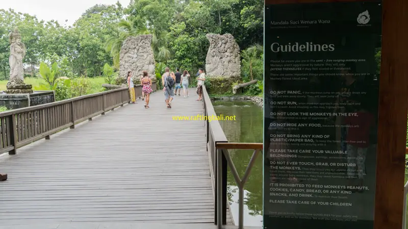 Ubud Travel Guide visiting the Sacred Monkey Forest.