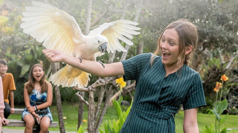 A visitor enjoying an interactive experience with a bird at Bali Bird Park