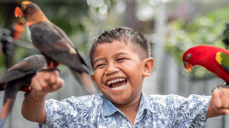 Boy laughing with parrots at Bali Bird Park