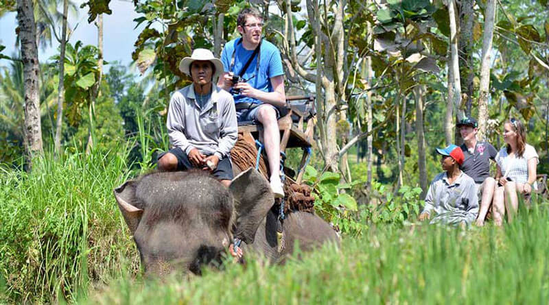 Unique experience riding an elephant at Bali Elephant Park Bakas