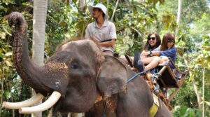 Bali Elephant Park Bakas Adventure