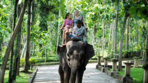 Tourists enjoying-elephant ride. Elephant Park Bakas Adventure Ticket Booking.