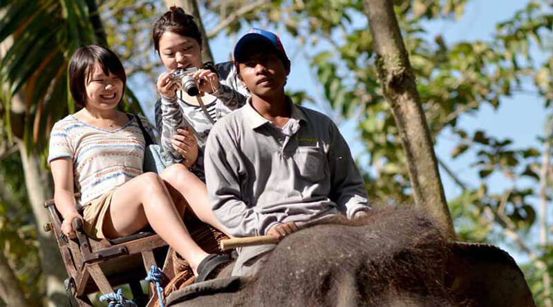 Tourists enjoy an elephant safari at Elephant Park Bakas.