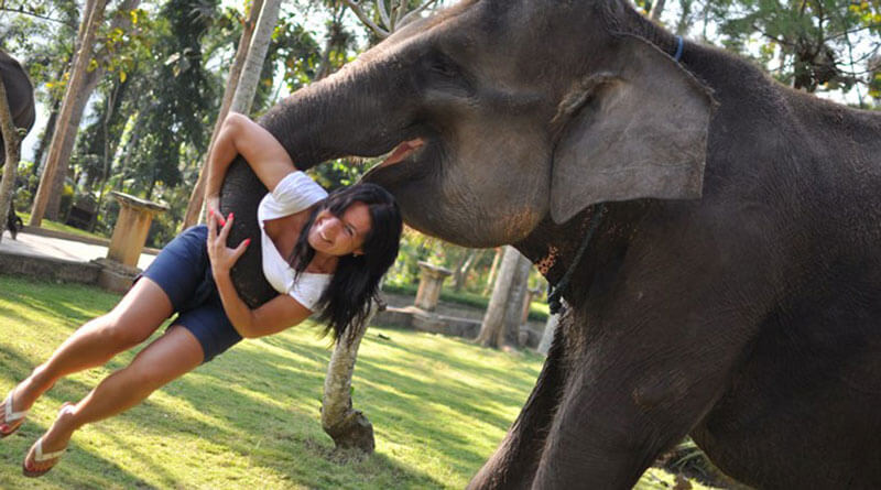 Visitor having fun interaction with elephant at Bali park. Elephant Park Bakas Adventure Ticket Booking