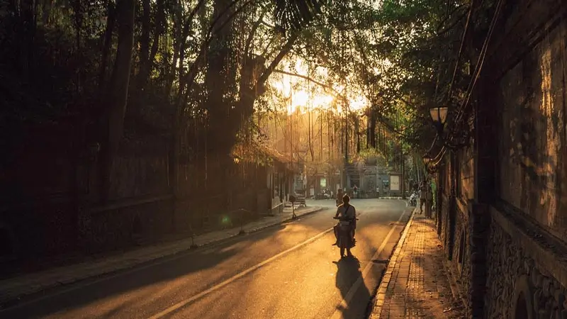 Traveler on motorbike enjoying the ride on Ubud's scenic road