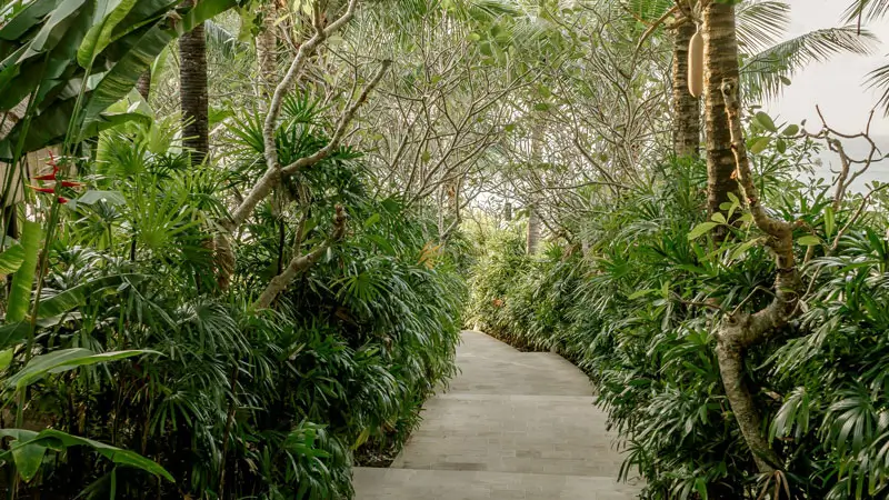 Path in the hotel garden with green plants and trees around