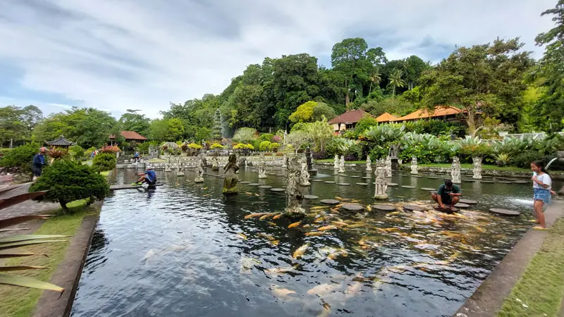 Tirta Gangga Koi Fish Pond