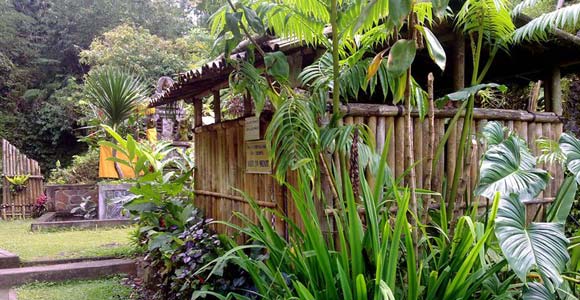 Angseri Tabanan Bali Hot Spring Pool