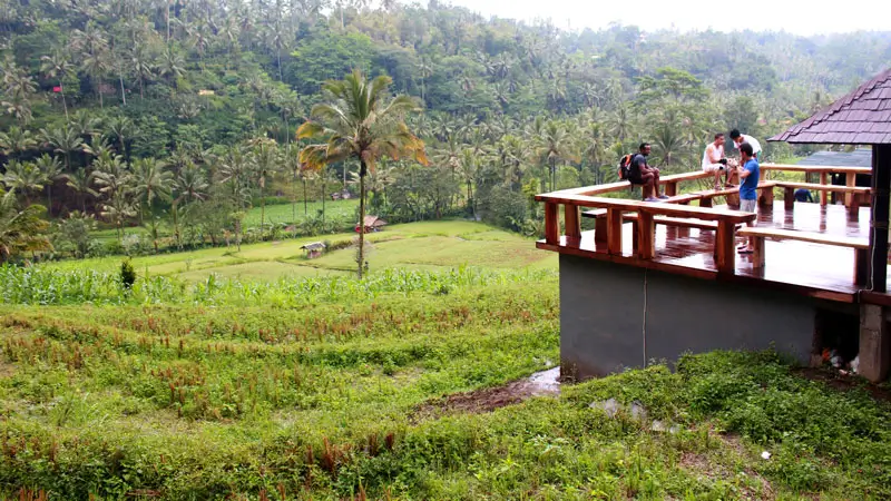 Scenic view of Muncan Village, Karangasem, with lush rice fields and tropical greenery.